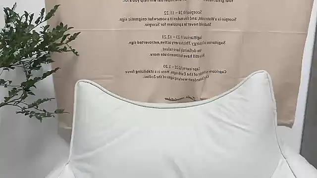 Arrebo1 online show from 4, 12, 2024