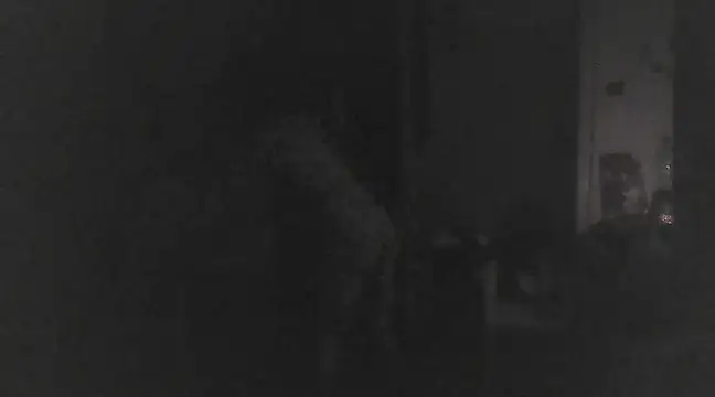 Just Gabriella online show from 17, 3, 2025