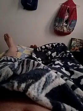 gato- online show from 1, 1, 2025