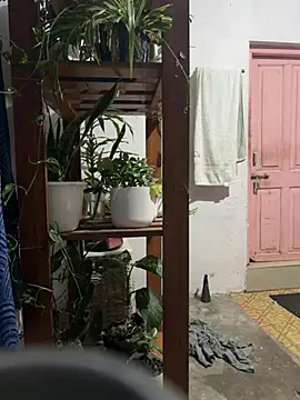 alburt 1996 online show from 16, 1, 2025