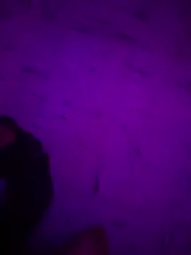 Argento14 online show from 3, 11, 2025