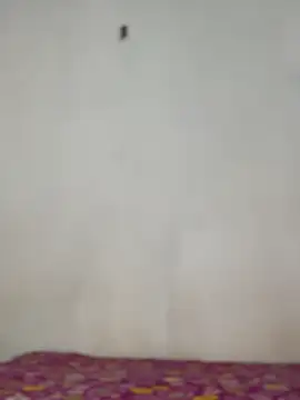 Snapshot of Nicole_cute1 chatting on 30, 11, 2025 Nicole cute1 online show from 30, 11, 2025