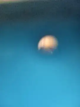 Sonya5156 online show from 15, 2, 2025