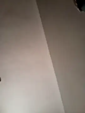 Vilan-86 online show from 4, 2, 2026