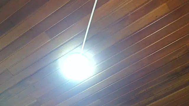 Snapshot of georgia_oli chatting on 15, 11, 2025 georgia oli online show from 15, 11, 2025