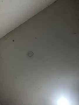 jeremiabello online show from 28, 2, 2025