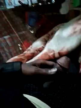 Antor1234 online show from 15, 12, 2024