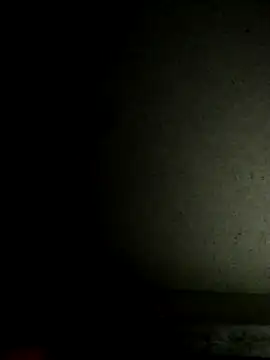 Leocesar37 online show from 19, 11, 2025