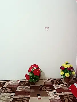 Saroj-Shah online show from 11, 10, 2025