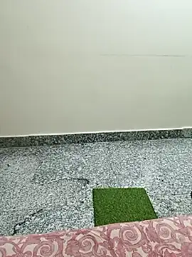 Saroj-Shah online show from 10, 3, 2026