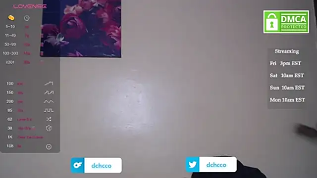 dchcco online show from 7, 11, 2025