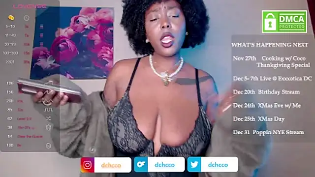 dchcco online show from 14, 11, 2025