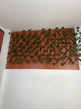 Snapshot of Emily_Trujillo chatting on 8, 11, 2025 Emily Trujillo online show from 8, 11, 2025