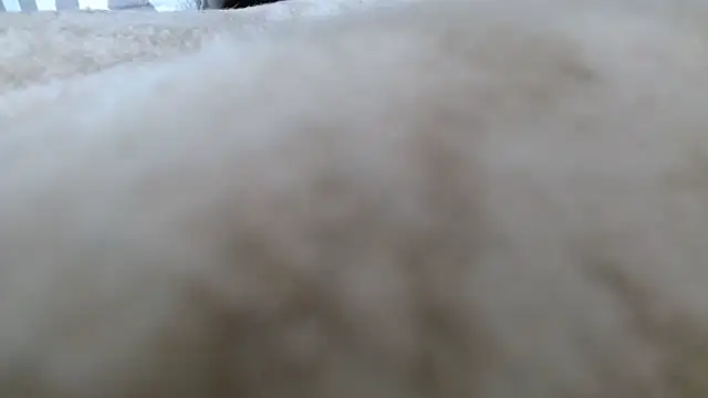 Snapshot of Heracles00 chatting on 13, 10, 2025 Heracles00 online show from 13, 10, 2025