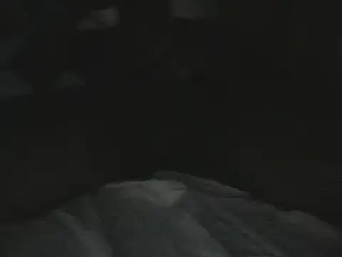 tumarditoperro online show from 30, 12, 2024