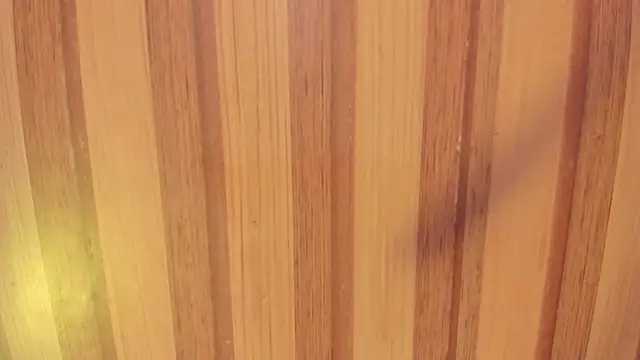 Taylor  cooper online show from 15, 11, 2025