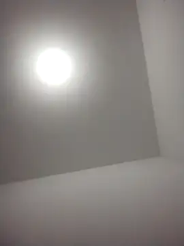 barboza991 online show from 28, 12, 2024