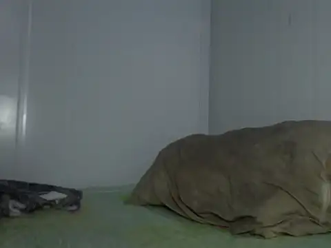 Snapshot of serjdj90 chatting on 11, 11, 2025 serjdj90 online show from 11, 11, 2025