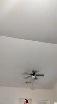 Playmate86 online show from 5, 12, 2024