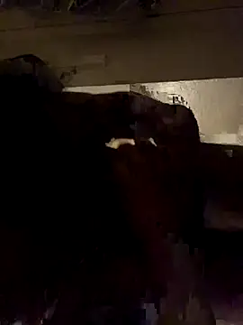 Snapshot of ethergodess9 chatting on 19, 11, 2025 ethergodess9 online show from 19, 11, 2025