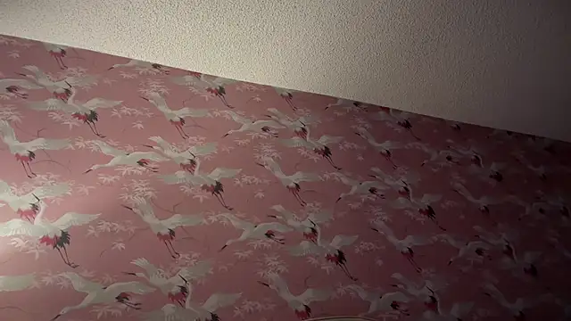 Youngjoshy online show from 13, 11, 2025