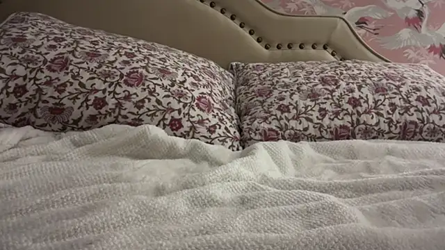 Youngjoshy online show from 24, 11, 2025