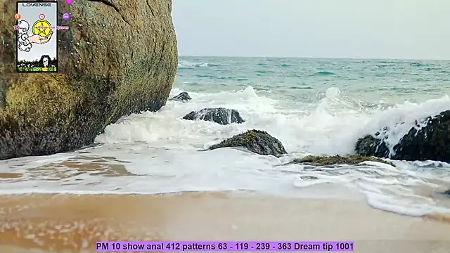  sex in paradise  online show from 3, 12, 2024