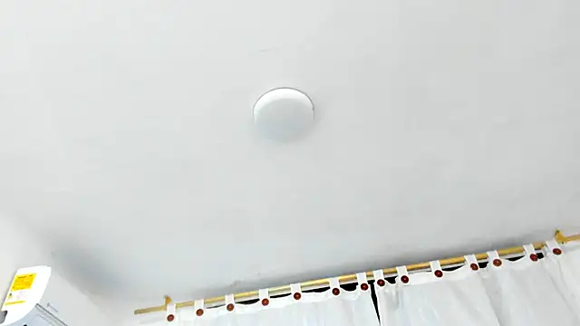 Snapshot of Brianrosex chatting on 25, 9, 2025 Brianrosex online show from 25, 9, 2025