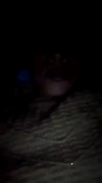 maftel online show from 19, 2, 2025