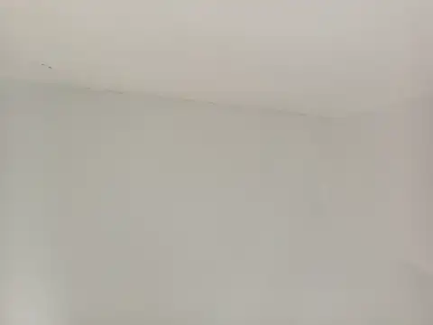 paladerler online show from 25, 3, 2026