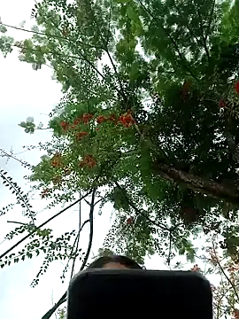 Karol-kamila19 online show from 3, 12, 2024