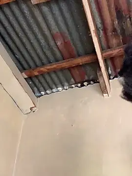 SEXY TOKYOxxx online show from 22, 10, 2025