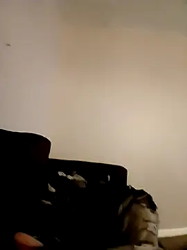 Snapshot of willywonka7793 chatting on 16, 12, 2024 willywonka7793 online show from 16, 12, 2024