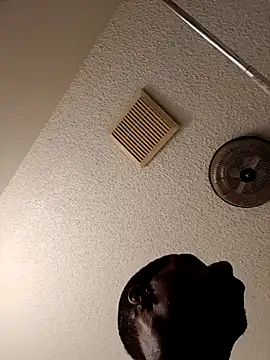 Snapshot of willywonka7793 chatting on 3, 3, 2025 willywonka7793 online show from 3, 3, 2025