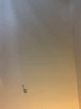 themasteer69 online show from 3, 2, 2026