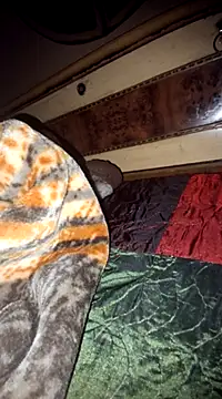 Snapshot of menakshiiikaur chatting on 11, 3, 2025 menakshiiikaur online show from 11, 3, 2025