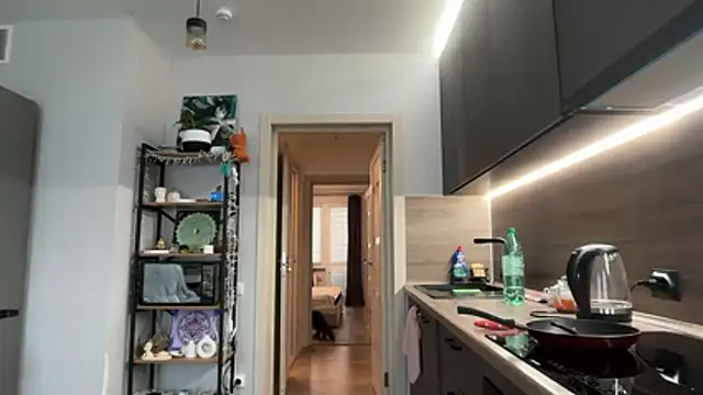 Snapshot of jainesummer chatting on 4, 12, 2025 jainesummer online show from 4, 12, 2025