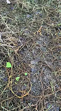 tamil000000 online show from 16, 3, 2025