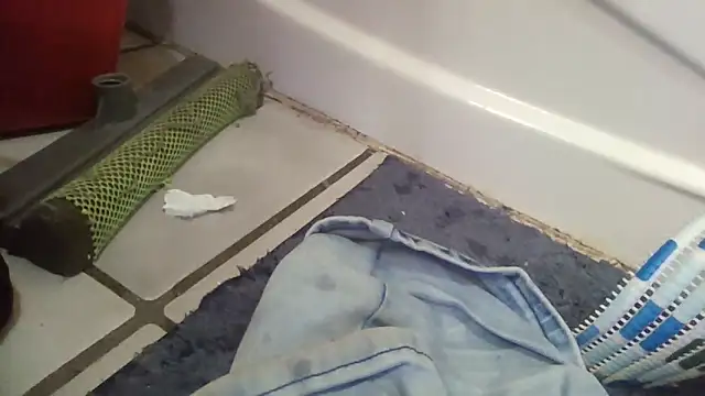 CandiedPompano online show from 20, 11, 2025