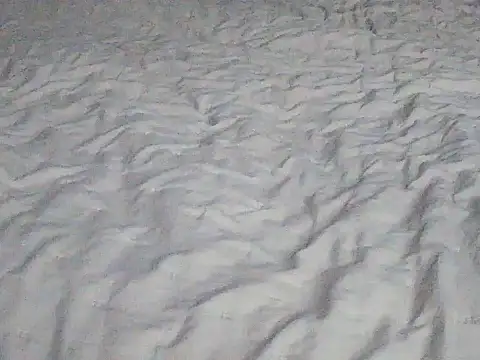 Tigerek i m online show from 14, 1, 2026