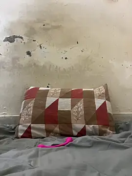 poision51 online show from 6, 11, 2025