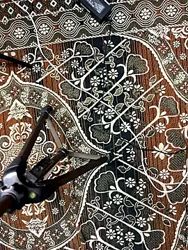 poision51 online show from 8, 1, 2026