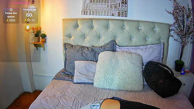 ShyVibes  online show from 31, 1, 2026