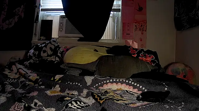 ATwinkie online show from 8, 10, 2025