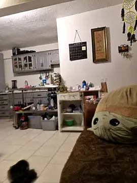 Snapshot of abdierkader chatting on 12, 11, 2025 abdierkader online show from 12, 11, 2025