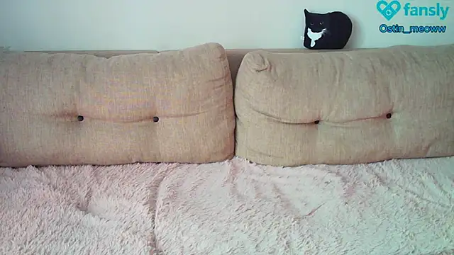 Snapshot of Ostin_meow chatting on 22, 2, 2025 Ostin meow online show from 22, 2, 2025