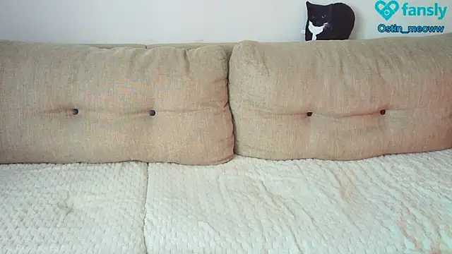 Snapshot of Ostin_meow chatting on 25, 2, 2025 Ostin meow online show from 25, 2, 2025
