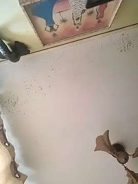 fandelosculos123 online show from 17, 3, 2026