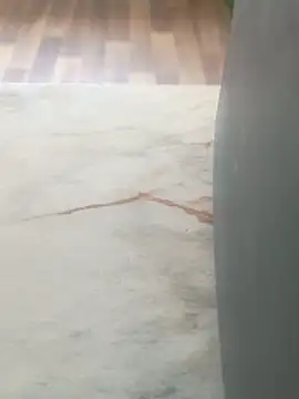 imissyoumylove14 online show from 29, 3, 2026