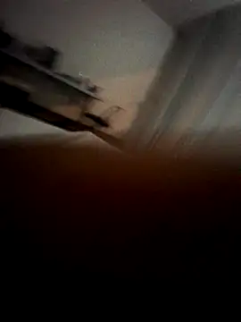 TRIGGADAALPHA online show from 10, 12, 2024